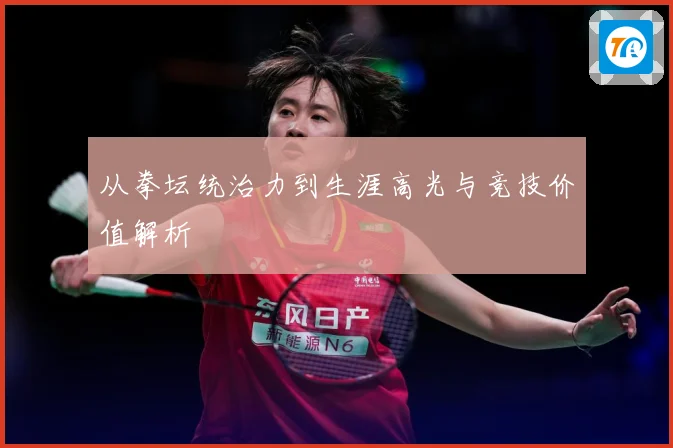 从拳坛统治力到生涯高光与竞技价值解析