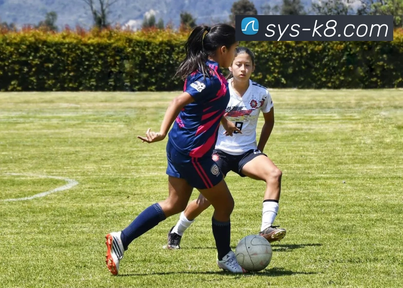 凯发娱乐平台展示图